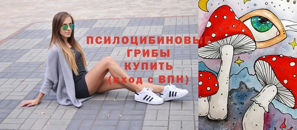 мет Абаза