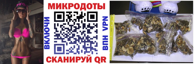 где купить наркоту  Арсеньев  Галлюциногенные грибы прущие грибы 